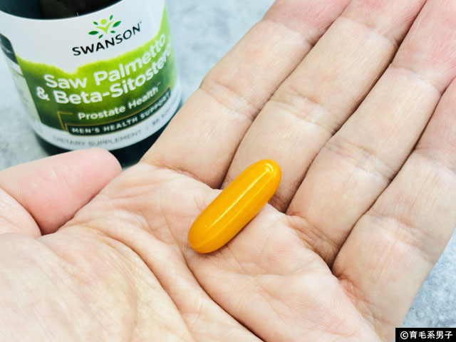 【AGA治療前に】プロペシアの前に試したい「ノコギリヤシ＆ベータシトステロール」育毛サプリの効果と実感-03