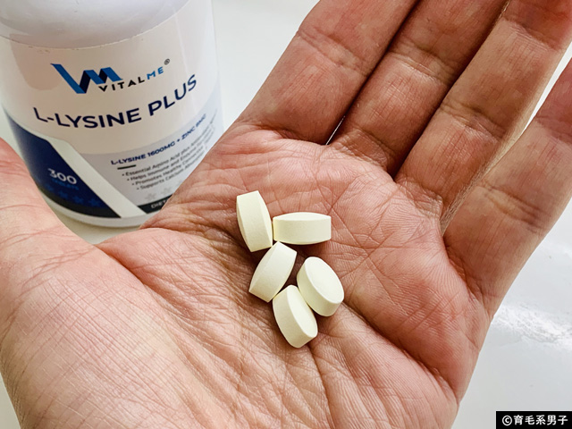 【AGA対策】育毛の“土台”を整えるVitalMe「L-リジンプラス」が注目される理由|亜鉛配合のアミノ酸サプリ-03